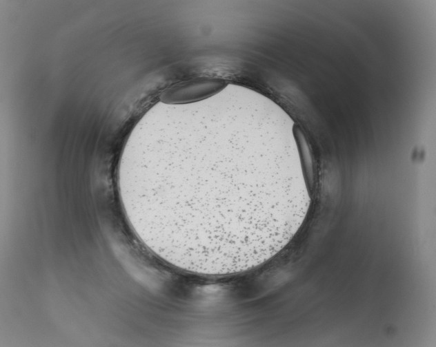 X0000112940312200910051202