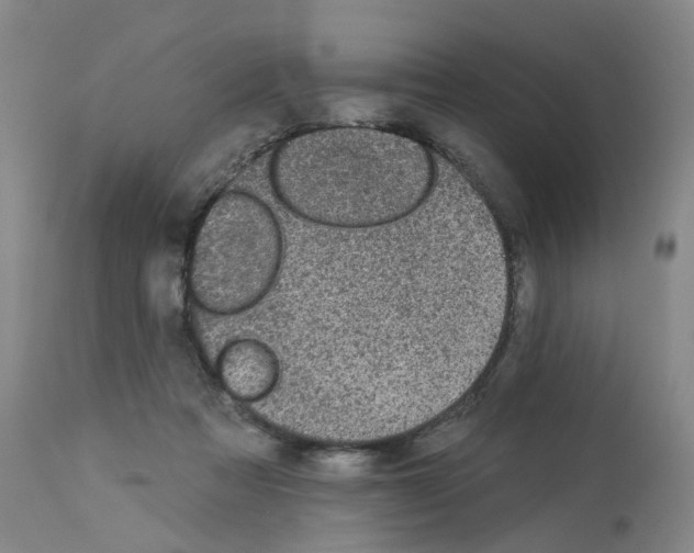 X0000112940313200910051202