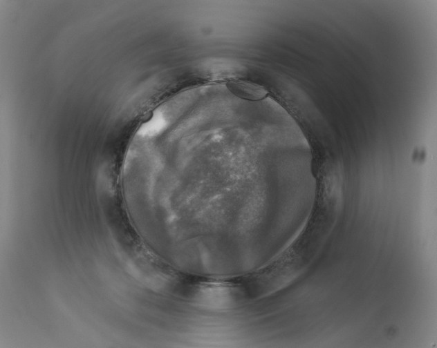 X0000112940316200910051202