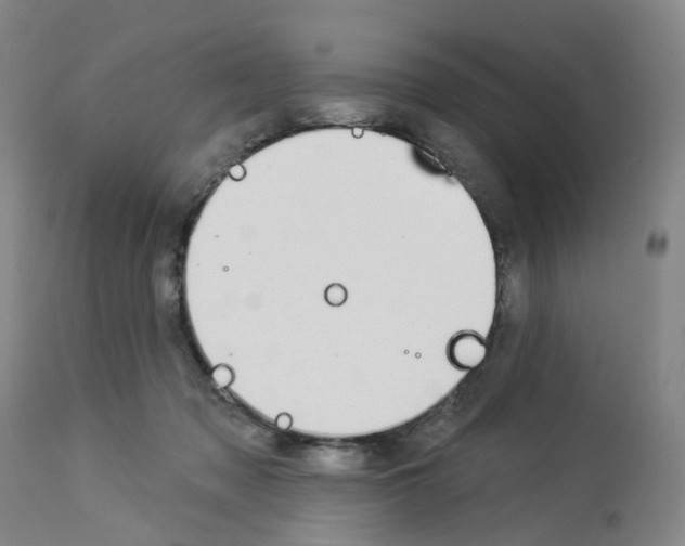X0000112940317200910051202