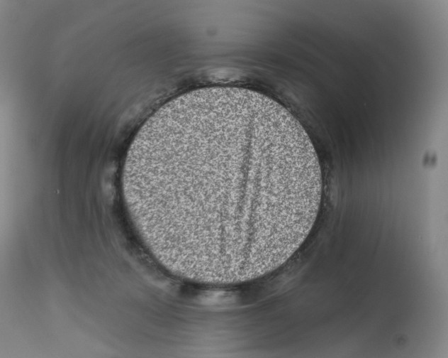 X0000112940319200910051202