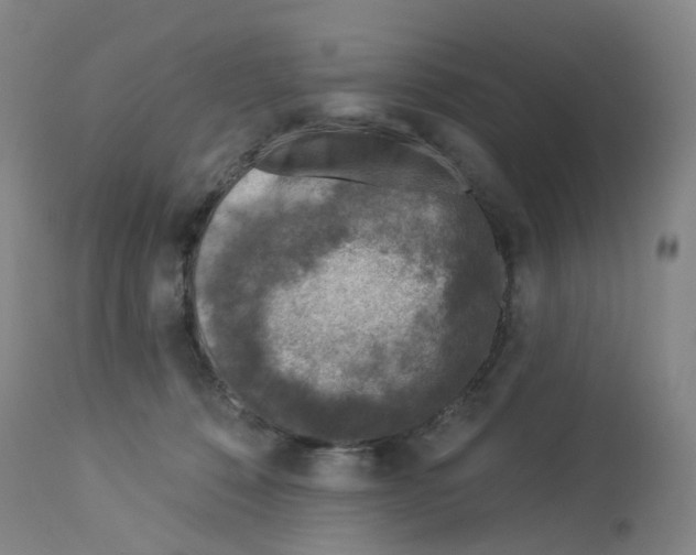 X0000112940320200910051202