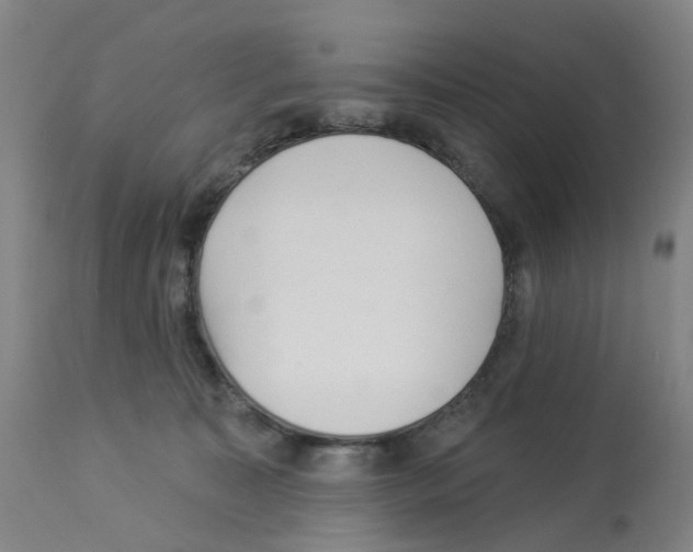 X0000112940323200910051202