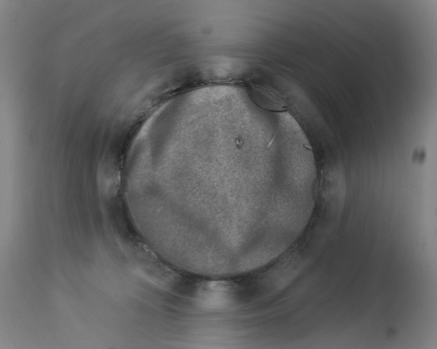 X0000112940324200910051202