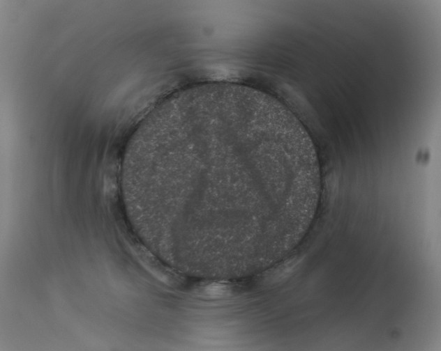 X0000112940325200910051202
