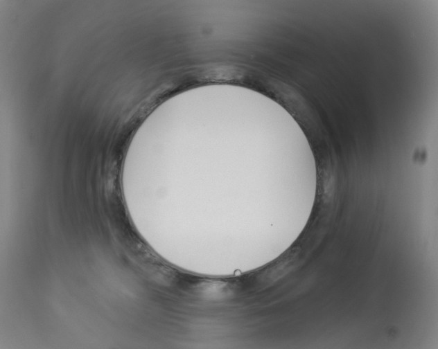 X0000112940326200910051202