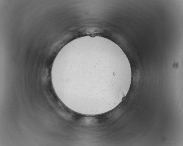 X0000112940327200910051202