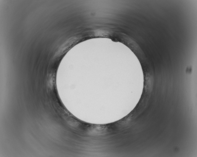 X0000112940329200910051202