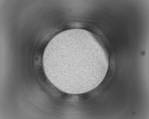 X0000112940330200910051202