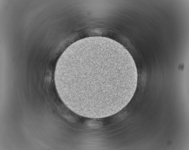 X0000112940331200910051202