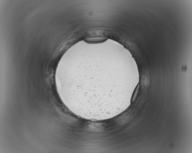 X0000112940332200910051201