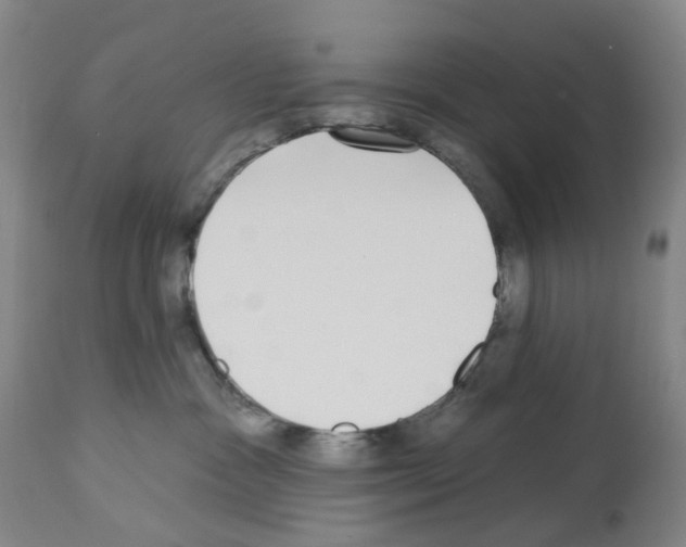 X0000112940333200910051201