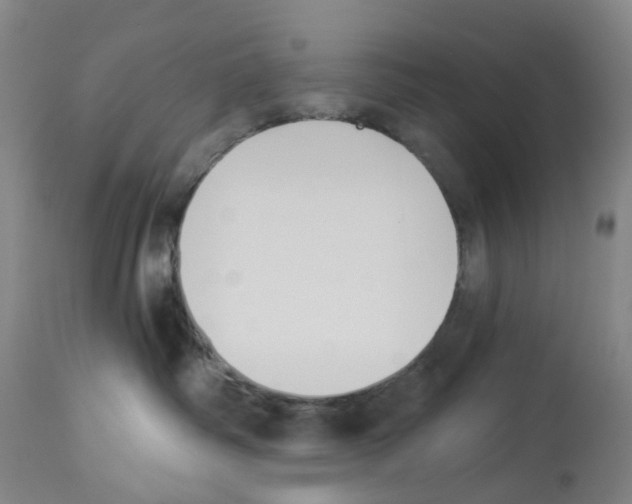 X0000112940334200910051201