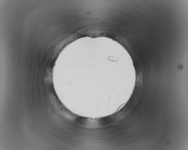 X0000112940335200910051201