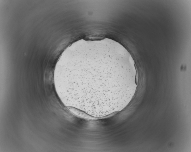 X0000112940336200910051201