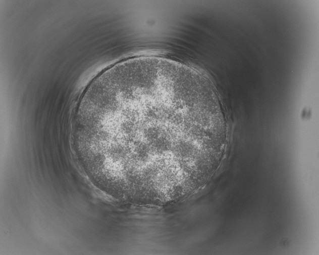 X0000112940337200910051201