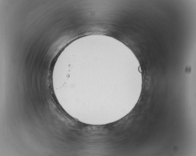 X0000112940338200910051201