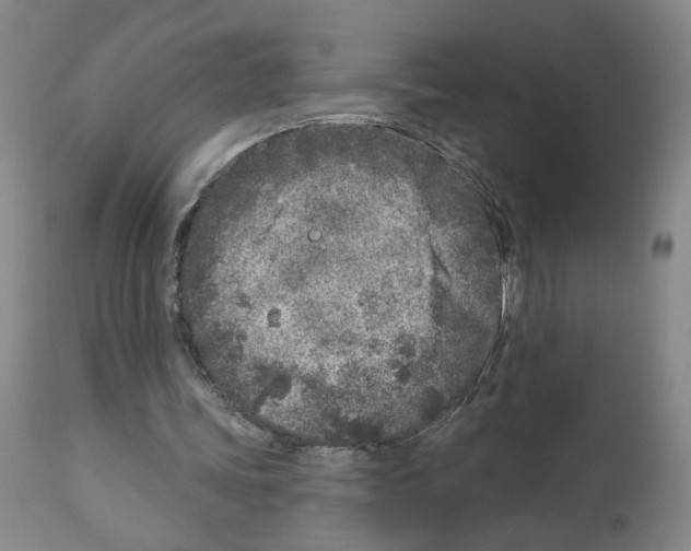 X0000112940339200910051201
