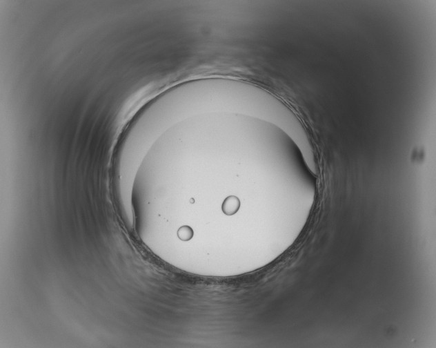 X0000112940340200910051201