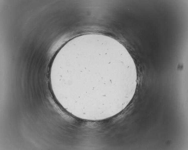 X0000112940341200910051201