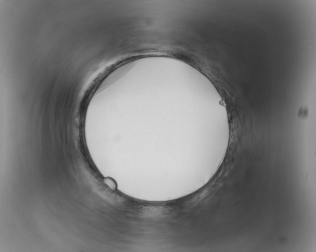 X0000112940342200910051201