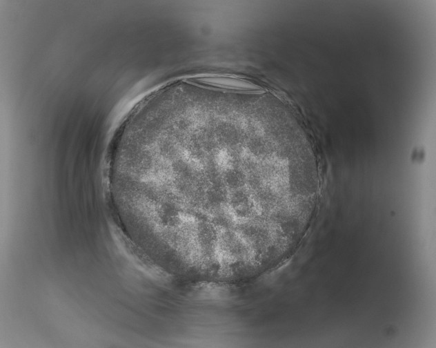 X0000112940343200910051201
