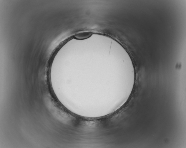 X0000112940344200910051201