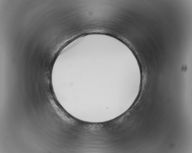 X0000112940345200910051201