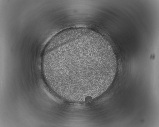 X0000112940347200910051201