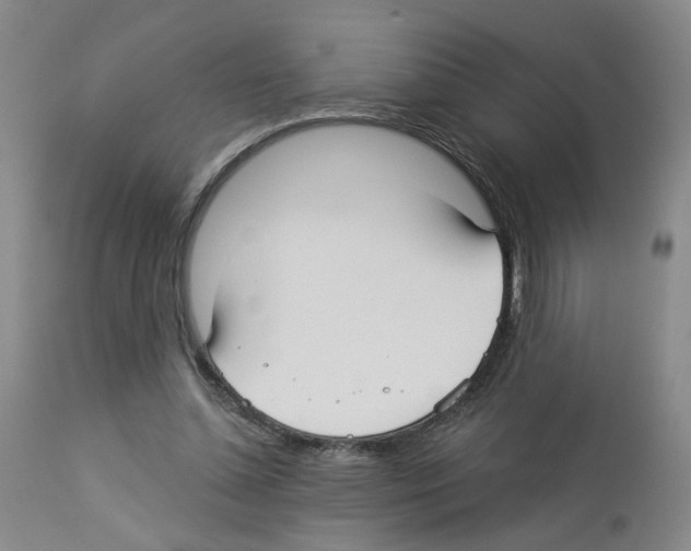 X0000112940348200910051201
