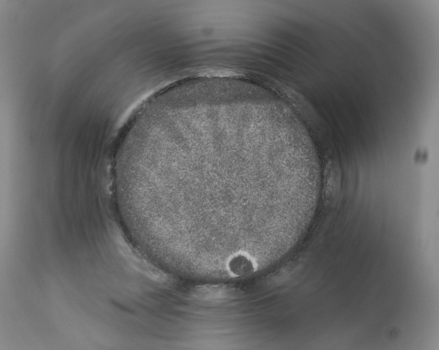 X0000112940351200910051201