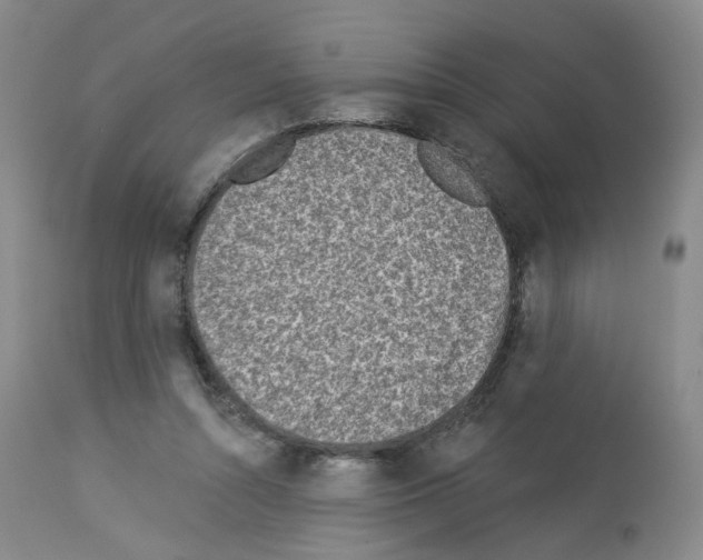 X0000112940352200910051201
