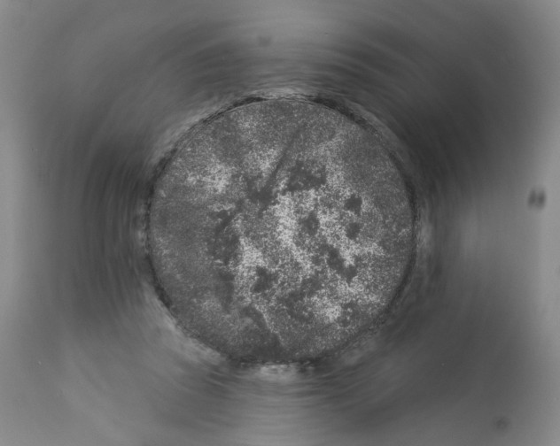 X0000112940353200910051201