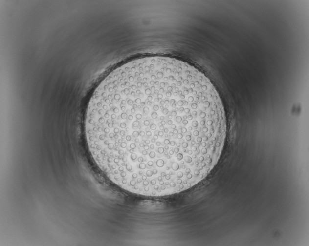 X0000112940354200910051201