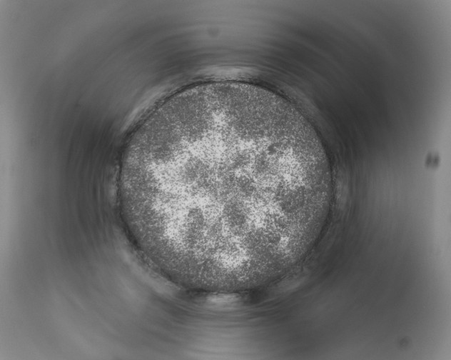 X0000112940357200910051201