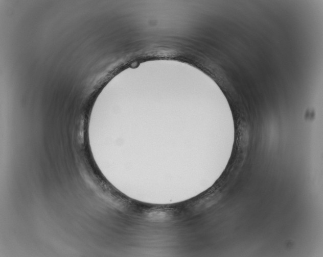 X0000112940358200910051201