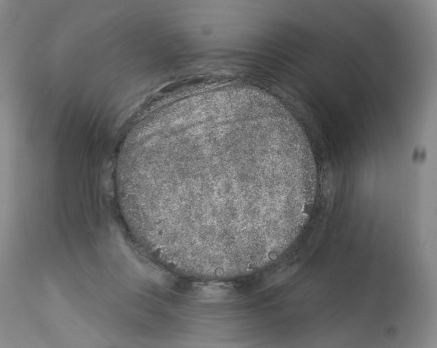 X0000112940359200910051201