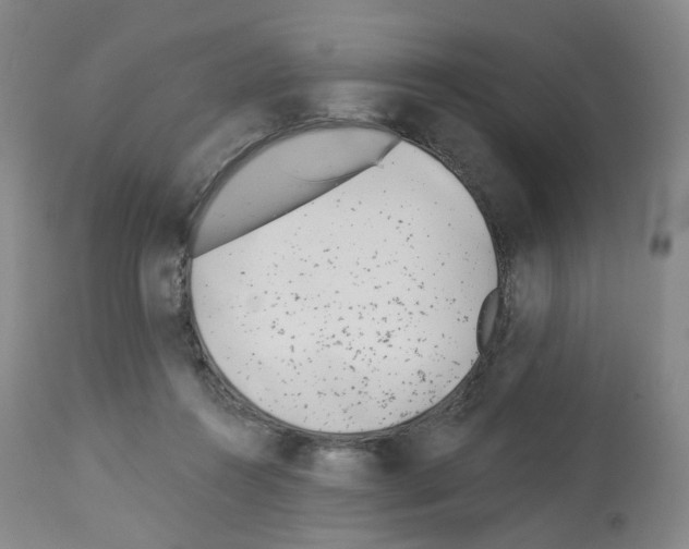 X0000112940360200910051201