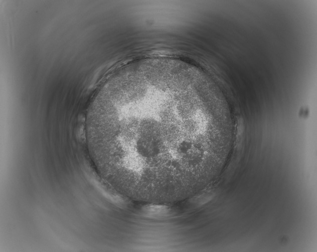X0000112940361200910051201