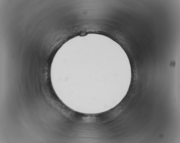 X0000112940362200910051201