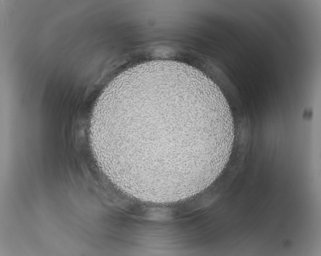 X0000112940363200910051201