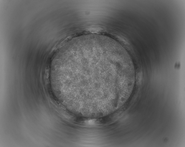 X0000112940365200910051201