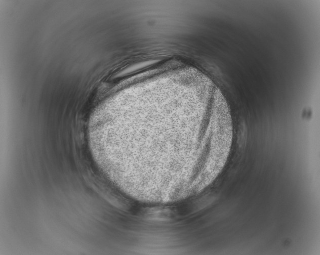 X0000112940366200910051201