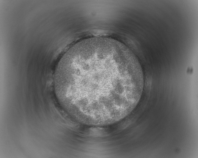 X0000112940367200910051201