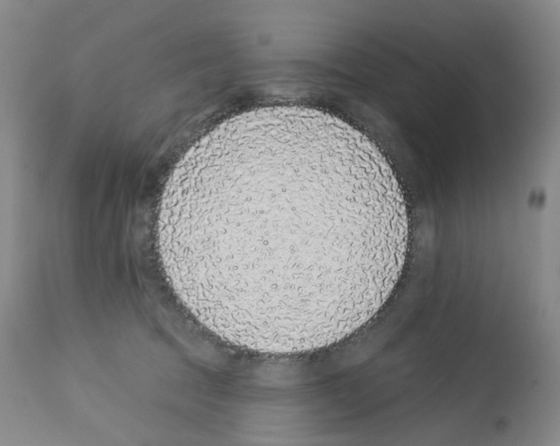 X0000112940369200910051201