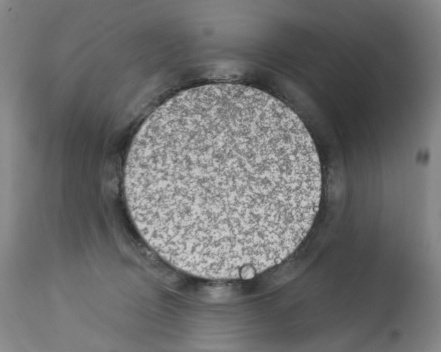 X0000112940370200910051201