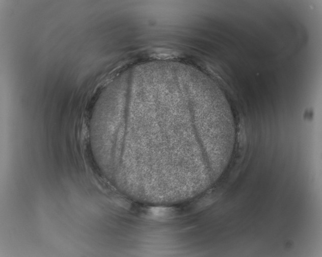 X0000112940371200910051201