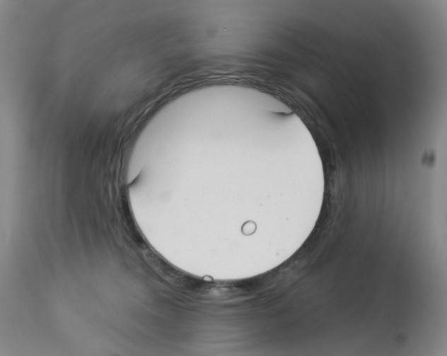 X0000112940372200910051201