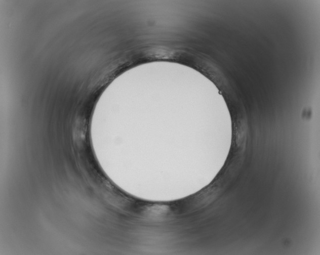 X0000112940374200910051201