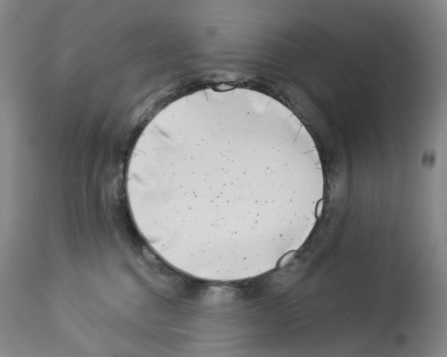 X0000112940376200910051201